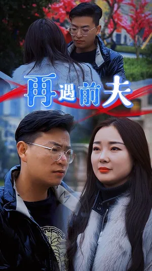 Póster del microdrama: Meeting My Ex-Husband Again